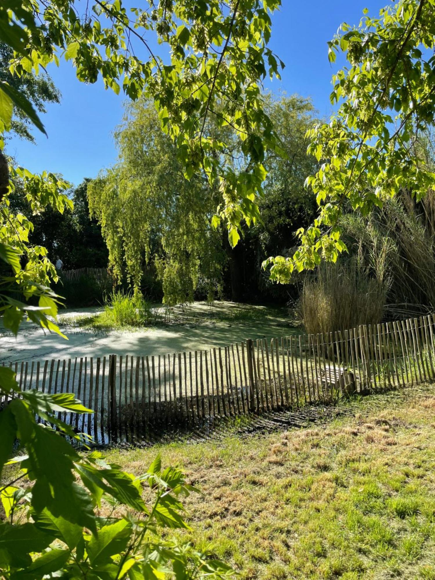 Instant Zen Bed & Breakfast Saint-Vivien-de-Médoc Eksteriør bilde